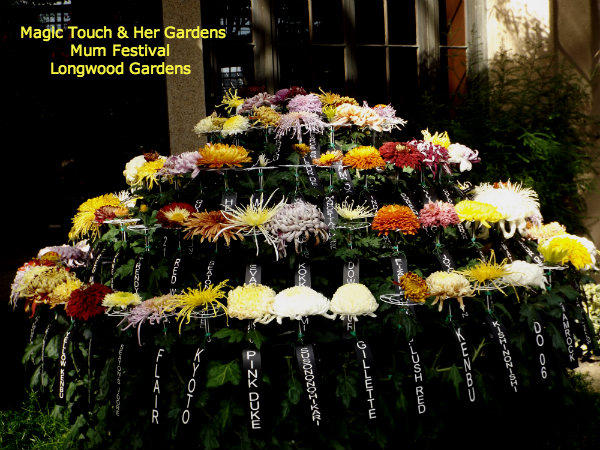 Carousel of Blooms @ Longwood Gardens